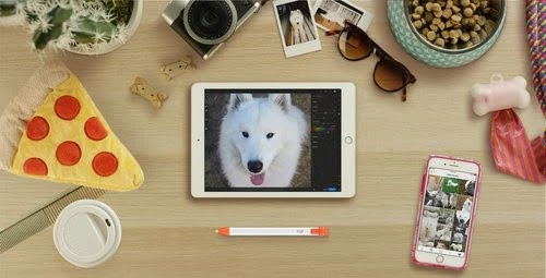 Acheter 👏 Logitech Crayon Orange, Blanc 🔥 19 Acheter 👏 Logitech Crayon Orange, Blanc 🔥 – Image 17